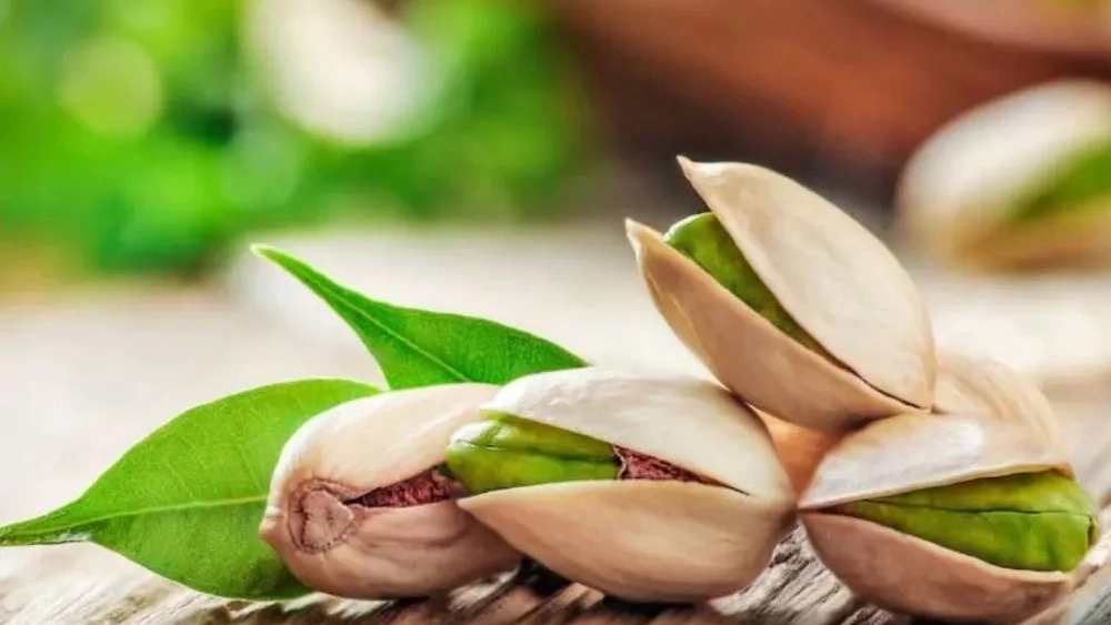 راهنمای خرید انواع پسته به انتخاب شما